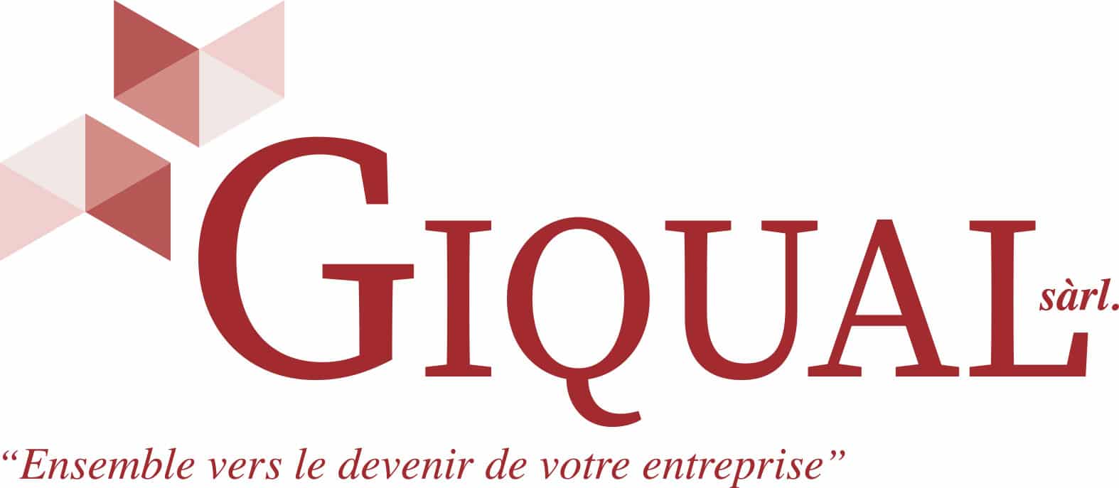 Logo60mm_giqual